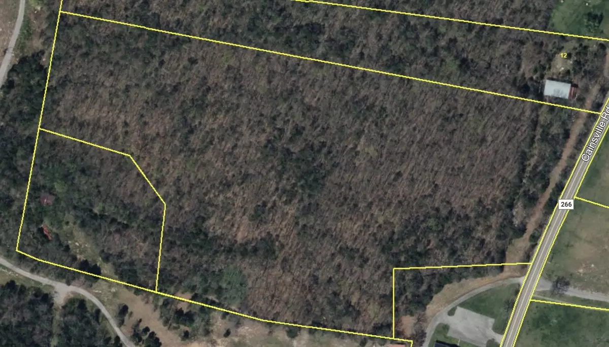 Lascassas, TN 37085,0 Cainsville Rd