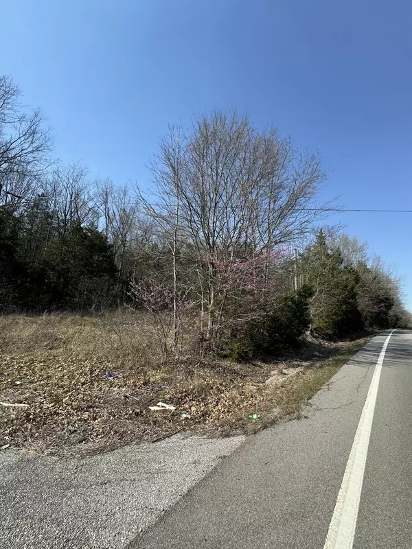 Lascassas, TN 37085,0 Cainsville Rd