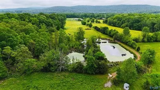 Elora, TN 37328,0 Echols Road