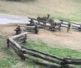 Dandridge, TN 37725,973 Water St