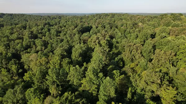 Cumberland Furnace, TN 37051,0 Rock Springs Rd