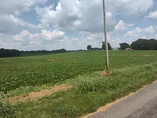 Cedar Hill, TN 37032,1 Benton