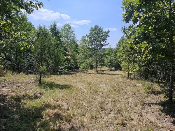 Clifton, TN 38425,0 Ross Creek Ridge