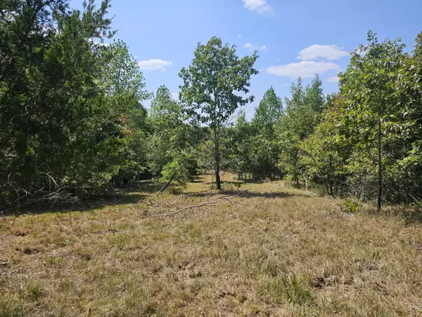 Clifton, TN 38425,0 Ross Creek Ridge