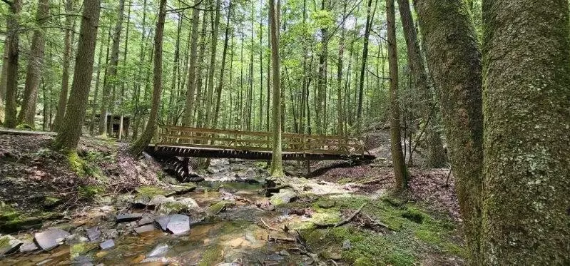 Dunlap, TN 37327,0 Oak Leaf Lane