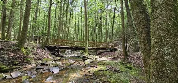 0 Oak Leaf Lane, Dunlap, TN 37327