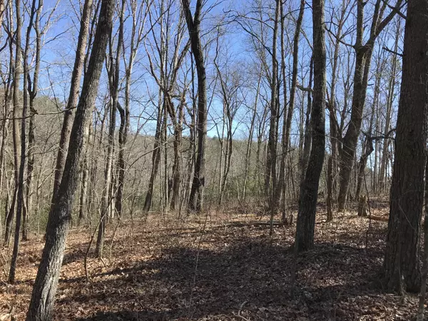 Dunlap, TN 37327,3 Deerhead Road