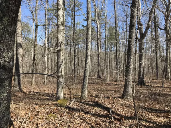 Dunlap, TN 37327,3 Deerhead Road