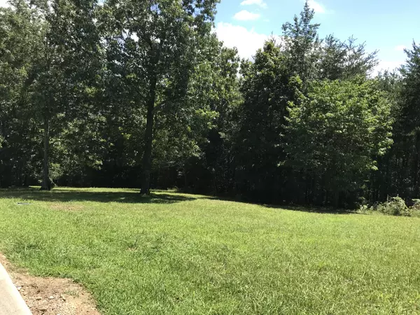 Dunlap, TN 37327,0 Skyhigh Drive