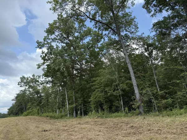 Pikeville, TN 37367,2571 Bellview Road