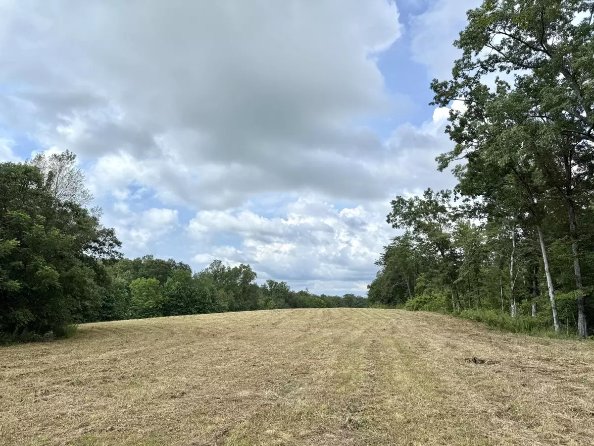 Pikeville, TN 37367,2571 Bellview Road