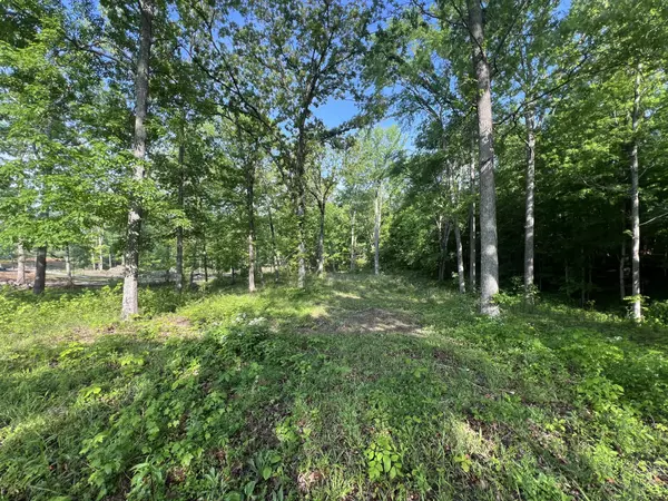 Benton, KY 42025,0 Highway 68 E