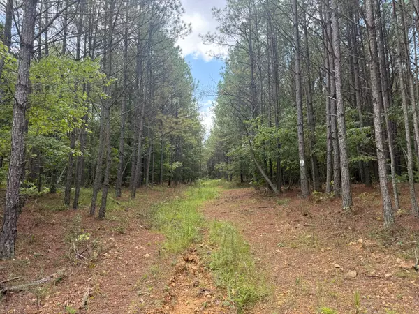 468 Seiber Ridge Rd, Hohenwald, TN 38462