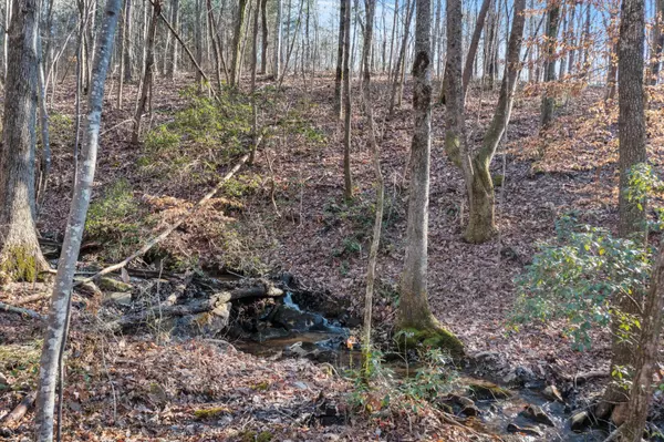 Jasper, TN 37347,0 Cherokee Path