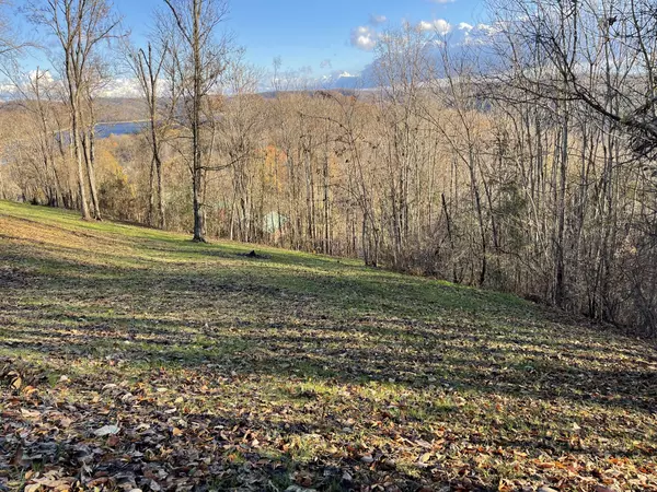 Smithville, TN 37166,0 Davidson Rd