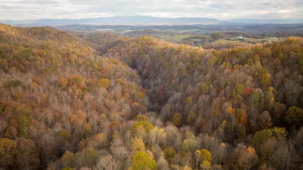 Blountville, TN 37617,544 Ethel Beard Rd