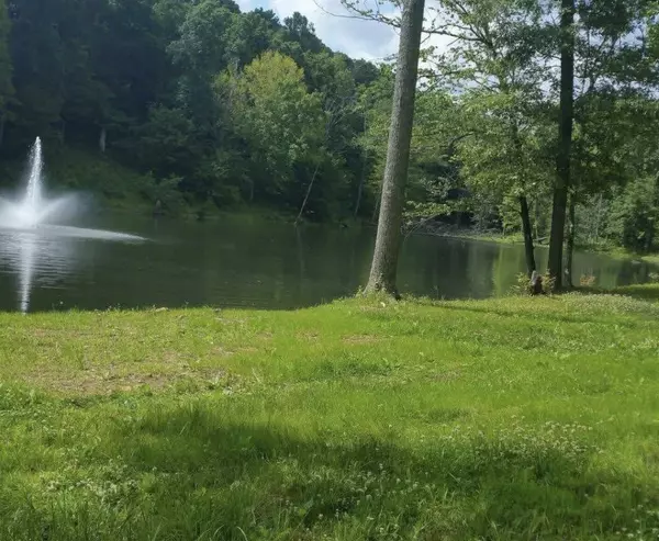 Hurricane Mills, TN 37078,10 Yellow Violet Ct