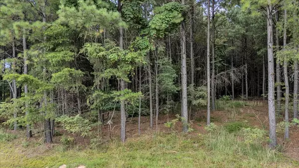 Jasper, TN 37347,4430 Crockett Point