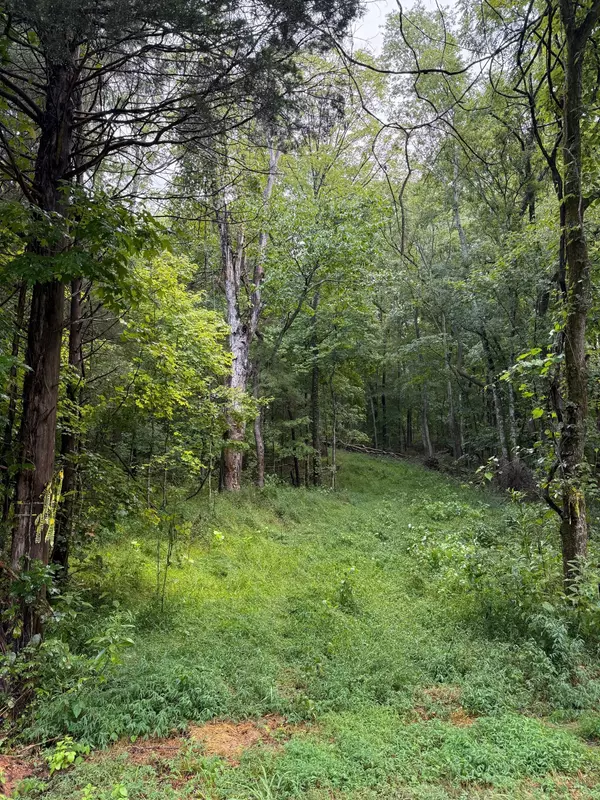 0 Shelter Branch Rd,  Charlotte,  TN 37036