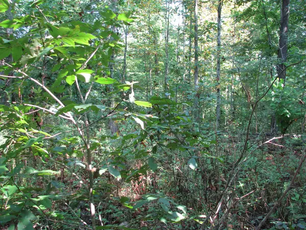 Waverly, TN 37185,0 Sycamore Landing Rd