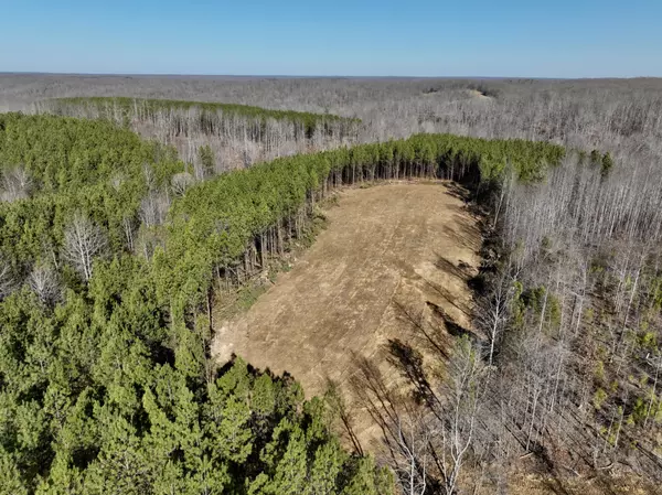 Stewart, TN 37175,0 White Oak Rd