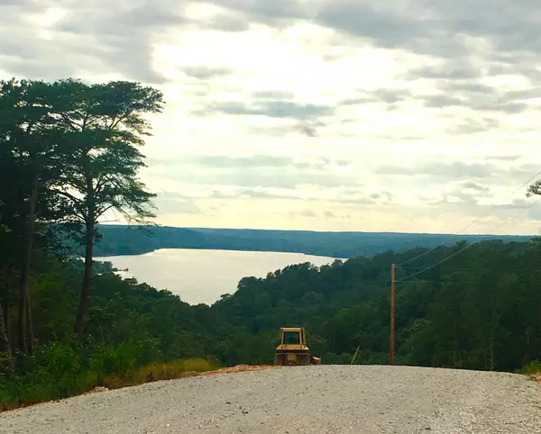 Waverly, TN 37185,0 Pelican Ct