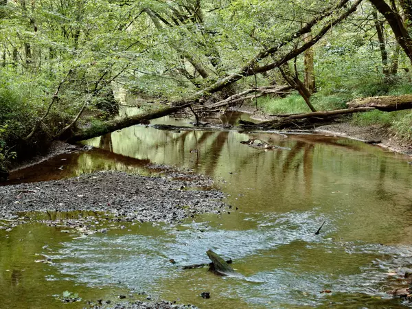 Sparta, TN 38583,3828 Blue Springs Rd