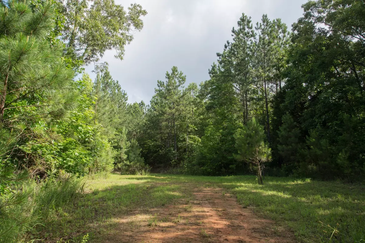 Cedar Grove, TN 38321,0 Pearson Road
