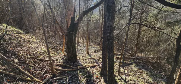 Smithville, TN 37166,14 Lake Meadow Dr