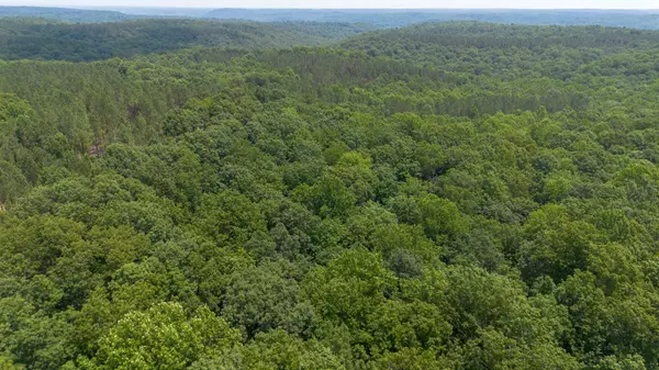 Centerville, TN 37033,0 Mayfield Divide Rd