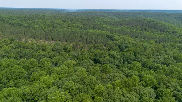 Centerville, TN 37033,0 Mayfield Divide Rd