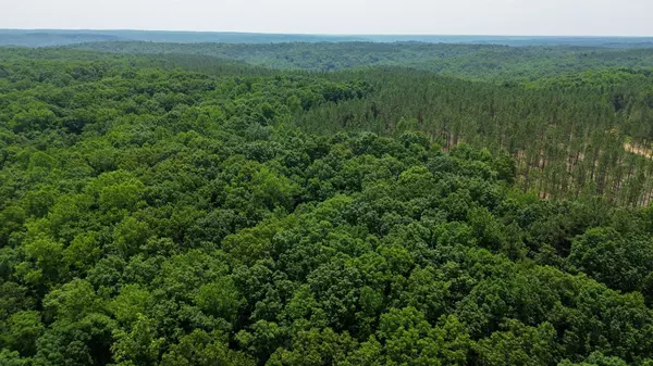 Centerville, TN 37033,0 Mayfield Divide Rd