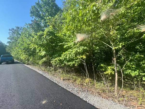 Allons, TN 38541,617 N Pointe Trl