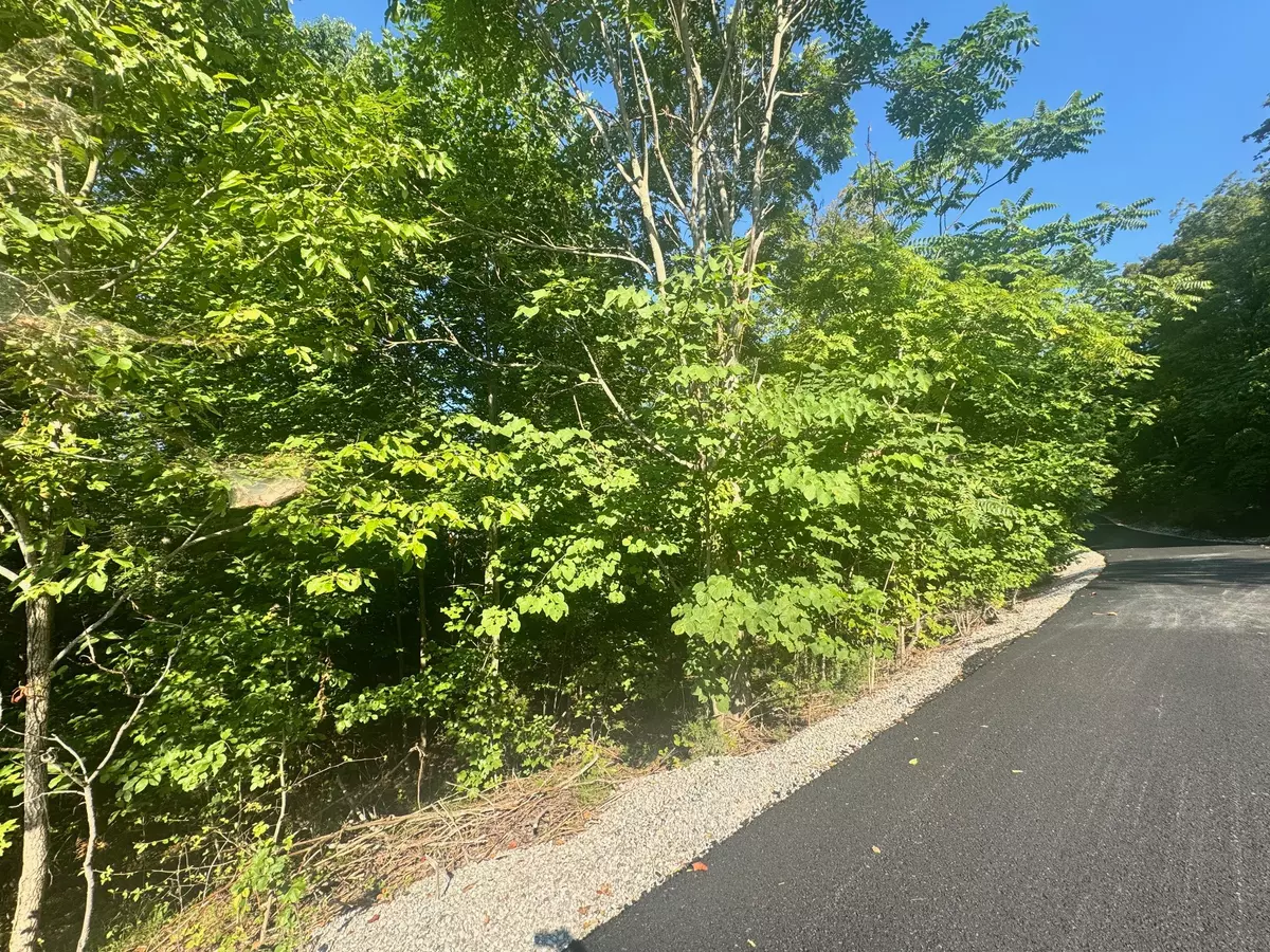 Allons, TN 38541,617 N Pointe Trl