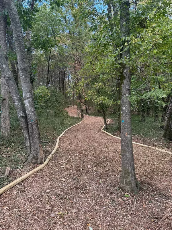 Nashville, TN 37211,1206 Valerie Lane #74