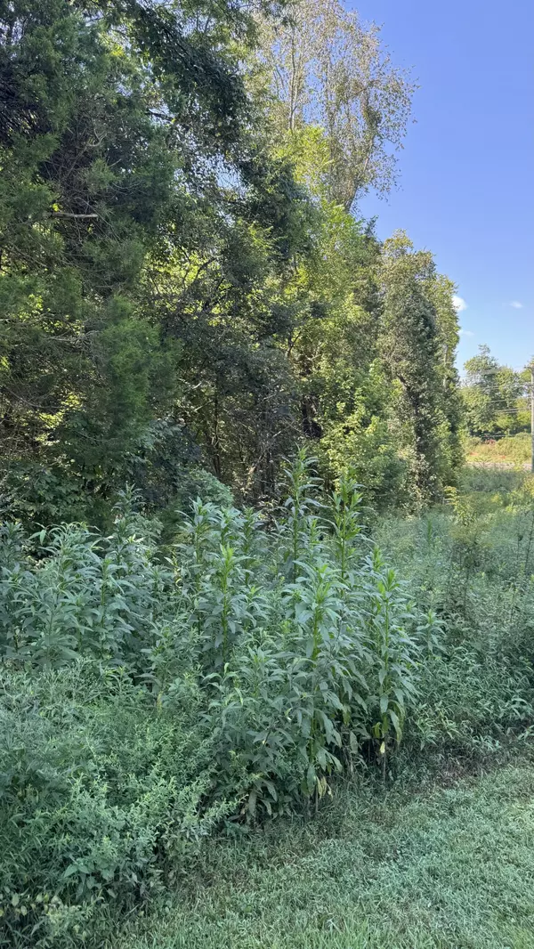 College Grove, TN 37046,8322 Horton Hwy