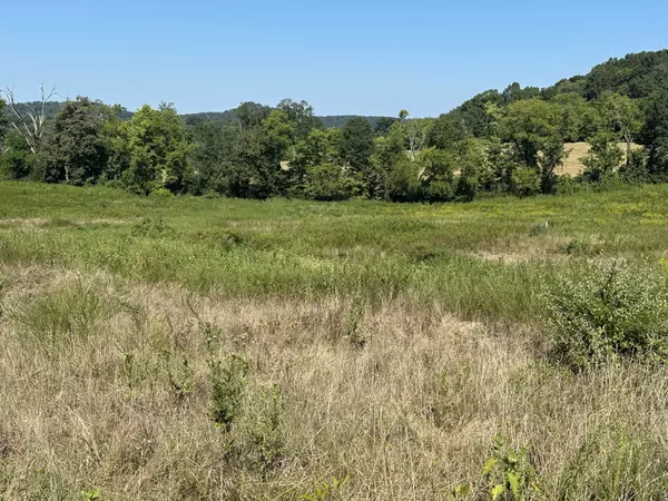 Carthage, TN 37030,0 McClures Bend Ln