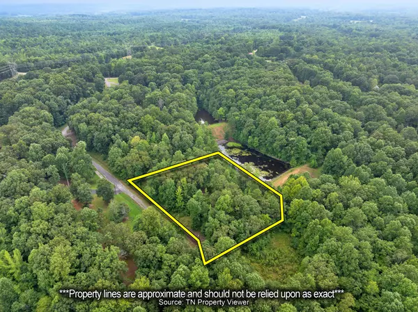 Cedar Grove, TN 38321,213 Jason Hollow Road