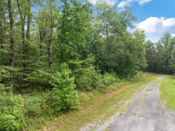 Cedar Grove, TN 38321,213 Jason Hollow Road