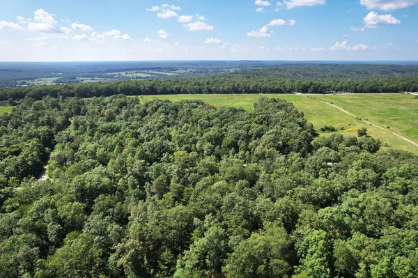 Pikeville, TN 37367,0 Big Bluff View Road
