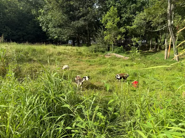 Beaver Dam, KY 42320,300 Lee Dr