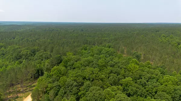 Centerville, TN 37033,0 Mayfield Divide Rd