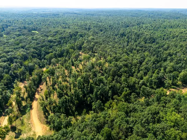 Hurricane Mills, TN 37078,715 Dyer Rd