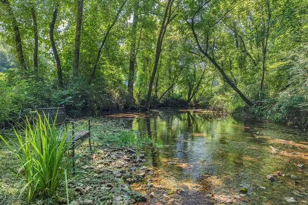 Ethridge, TN 38456,55 Waterfork Rd