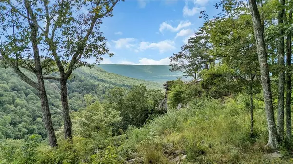 Jasper, TN 37347,0 Raulston Falls Road