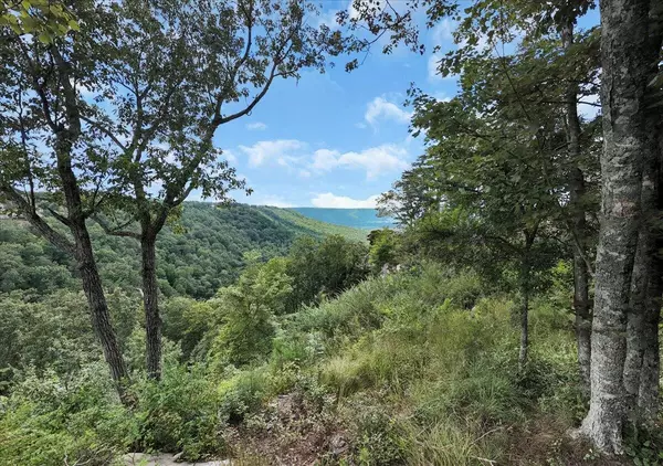 Jasper, TN 37347,0 Raulston Falls Road