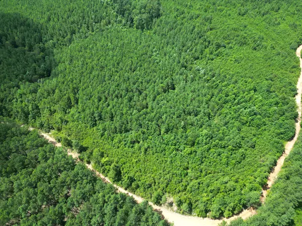 0 Liberty Ridge Rd, Hohenwald, TN 38462