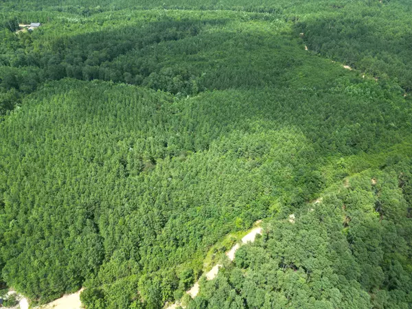 Hohenwald, TN 38462,0 Liberty Ridge Rd