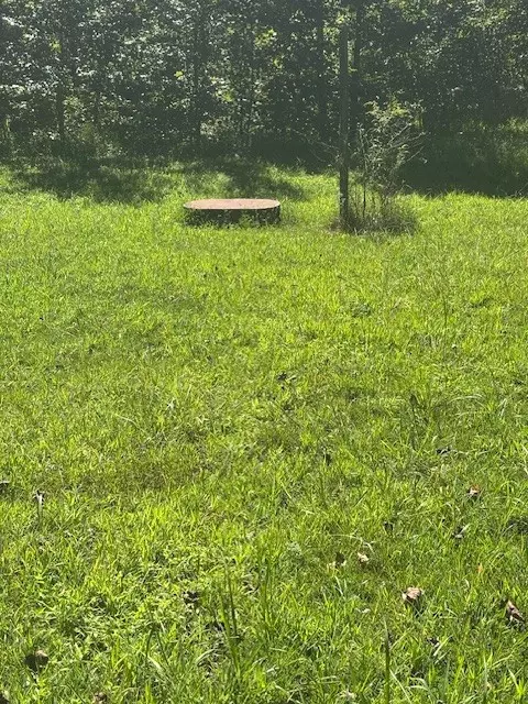 Hohenwald, TN 38462,161 Arkansas Rd