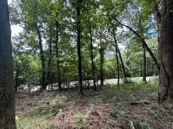 Smithville, TN 37166,74 Williamson Cir